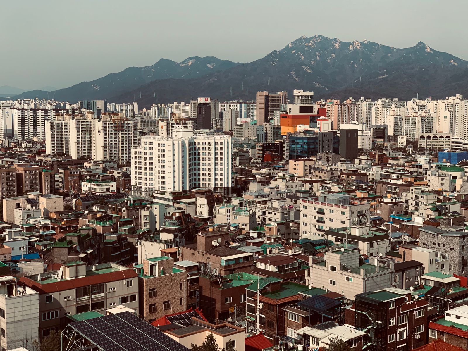 디시 1
